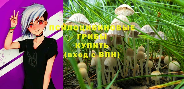 прущий лед Белоозёрский